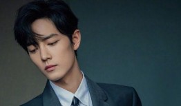 肖战 娱乐爆料最新消息,揭秘明星幕后故事